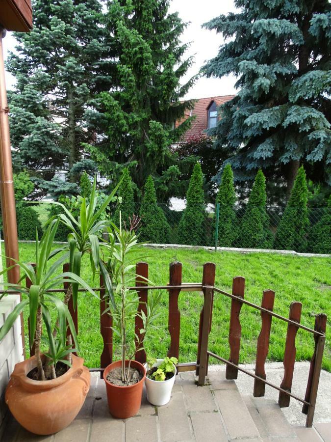 Corso Central Home, Кестхей Экстерьер фото